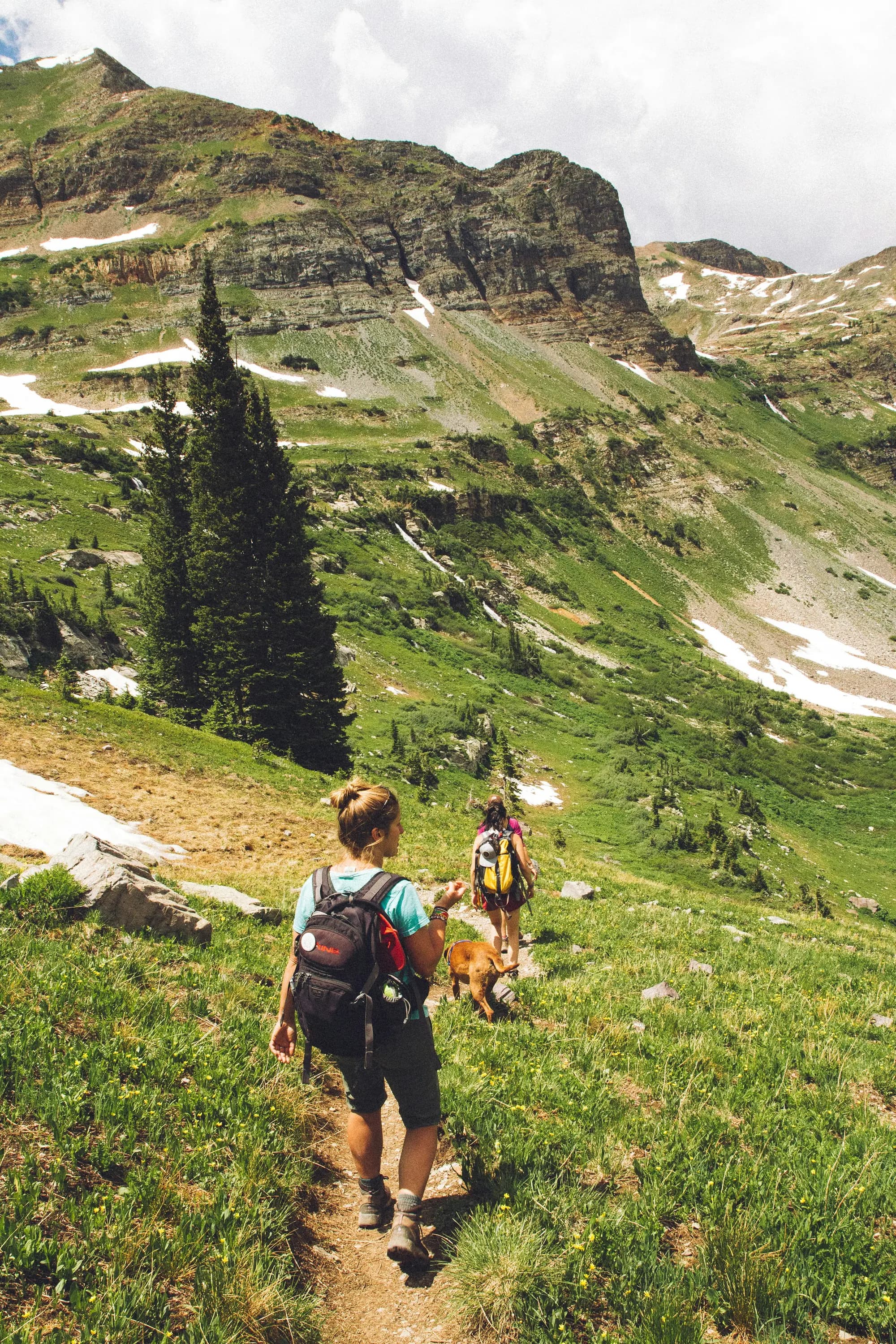 Two hikers and a dog walking a mountain trail in summer.